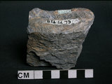 中文名:片岩(NMNS002214-P005302)英文名:Schist(NMNS002214-P005302)