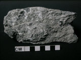 中文名:片岩(NMNS004105-P007810)英文名:Schist(NMNS004105-P007810)