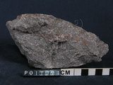 中文名:片岩(NMNS004660-P011094)英文名:Schist(NMNS004660-P011094)