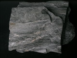 中文名:石英雲母片岩(NMNS000136-P000731)英文名:Quartz-mica schist(NMNS000136-P000731)