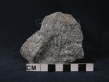 中文名:多矽白雲母片岩(NMNS003037-P006174)英文名:Phengite schist(NMNS003037-P006174)