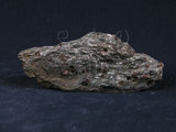 中文名:角閃石雲母片岩(NMNS004105-P008446)英文名:Hornblende-Mica Schist(NMNS004105-P008446)
