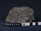 中文名:角閃石雲母片岩(NMNS004105-P008446)英文名:Hornblende-Mica Schist(NMNS004105-P008446)