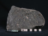 中文名:石榴子石-角閃石-白雲母片岩(NMNS004176-P009074)英文名:Mica schist(NMNS004176-P009074)