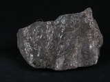 中文名:石榴子石-角閃石-白雲母片岩(NMNS004176-P009075)英文名:Mica schist(NMNS004176-P009075)