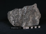中文名:石榴子石-角閃石-白雲母片岩(NMNS004176-P009075)英文名:Mica schist(NMNS004176-P009075)