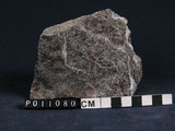 中文名:黑雲母片岩(NMNS004660 -P011080)英文名:Biotite schist(NMNS004660 -P011080)