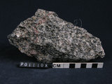 中文名:黑雲母片岩(NMNS004661-P011108)英文名:Biotite schist(NMNS004661-P011108)