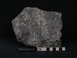 中文名:石榴子石-雲母-角閃石片岩(NMNS004176-P009078)英文名:Hornblende schist(NMNS004176-P009078)