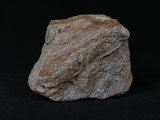 中文名:石英片岩(NMNS002847-P004955)英文名:Quartz schist(NMNS002847-P004955)