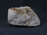 中文名:石英片岩(NMNS003053-P006274)英文名:Quartz schist(NMNS003053-P006274)