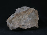 中文名:石英片岩(NMNS003264-P006535)英文名:Quartz schist(NMNS003264-P006535)
