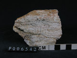 中文名:石英片岩(NMNS003264-P006542)英文名:Quartz schist(NMNS003264-P006542)