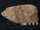 中文名:石英片岩(NMNS004665-P011584)英文名:Quartz schist(NMNS004665-P011584)
