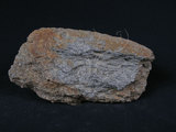 中文名:白雲母-石英片岩(NMNS004176-P009103)英文名:Mica-Quartz Schist(NMNS004176-P009103)