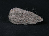 中文名:石榴子石-白雲母-石英片岩(NMNS004176-P009126)英文名:Mica-Quartz Schist(NMNS004176-P009126)