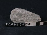 中文名:石榴子石-白雲母-石英片岩(NMNS004176-P009126)英文名:Mica-Quartz Schist(NMNS004176-P009126)