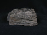 中文名:雲母石英片岩(NMNS004273-P009923)英文名:Mica-Quartz Schist(NMNS004273-P009923)