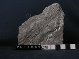中文名:白雲母石英片岩(NMNS004660-P011089)英文名:Muscovite-quartz schist(NMNS004660-P011089)