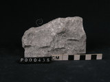 中文名:矽質片岩(NMNS000098-P000438)英文名:Siliceous schist(NMNS000098-P000438)