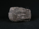 中文名:矽質片岩(NMNS000098-P000446)英文名:Siliceous schist(NMNS000098-P000446)
