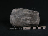 中文名:矽質片岩(NMNS000098-P000446)英文名:Siliceous schist(NMNS000098-P000446)