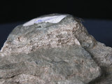 中文名:矽質片岩(NMNS004105-P007847)英文名:Siliceous schist(NMNS004105-P007847)