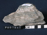 中文名:矽質片岩(NMNS004105-P007847)英文名:Siliceous schist(NMNS004105-P007847)