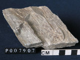 中文名:矽質片岩(NMNS004105-P007907)英文名:Siliceous schist(NMNS004105-P007907)