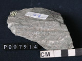 中文名:矽質片岩(NMNS004105-P007914)英文名:Siliceous schist(NMNS004105-P007914)