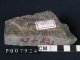 中文名:矽質片岩(NMNS004105-P007924)英文名:Siliceous schist(NMNS004105-P007924)