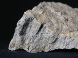 中文名:矽質片岩(NMNS004105-P007946)英文名:Siliceous schist(NMNS004105-P007946)