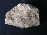 中文名:矽質片岩(NMNS004105-P007956)英文名:Siliceous schist(NMNS004105-P007956)