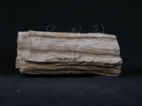 中文名:石灰質片岩(NMNS004105-P007822)