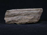 中文名:石灰質片岩(NMNS004105-P007822)英文名:Calcareous Schist(NMNS004105-P007822)