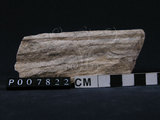 中文名:石灰質片岩(NMNS004105-P007822)英文名:Calcareous Schist(NMNS004105-P007822)