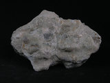 中文名:滑石片岩(NMNS004105-008453)英文名:Talc schist(NMNS004105-008453)