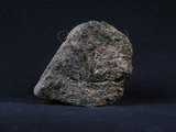 中文名:陽起石-滑石片岩(NMNS004176-009111)英文名:Talcs chist(NMNS004176-009111)
