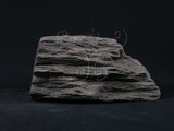 中文名:石墨片岩(NMNS004105-P008007)