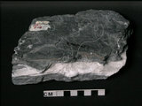 中文名:黑色片岩/大理岩(NMNS000005-P000061)英文名:Black schist/marble(NMNS000005-P000061)