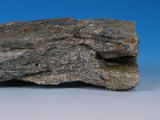 中文名:黑色片岩(NMNS005034-P012269)英文名:Black schist(NMNS005034-P012269)