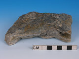 中文名:黑色片岩(NMNS005034-P012269)英文名:Black schist(NMNS005034-P012269)