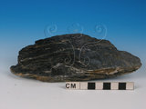 中文名:黑色片岩(NMNS005034-P012276)英文名:Black schist(NMNS005034-P012276)