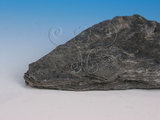 中文名:黑色片岩(NMNS005034-P012293)英文名:Black schist(NMNS005034-P012293)
