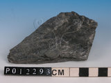 中文名:黑色片岩(NMNS005034-P012293)英文名:Black schist(NMNS005034-P012293)