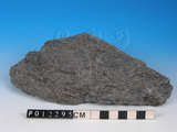 中文名:黑色片岩(NMNS005034-P012295)英文名:Black schist(NMNS005034-P012295)