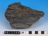 中文名:黑色片岩(NMNS005036-P012299)英文名:Black schist(NMNS005036-P012299)