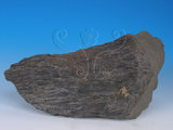 中文名:黑色片岩(NMNS005036-P012300)英文名:Black schist(NMNS005036-P012300)