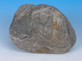 中文名:黑色片岩(NMNS005036-P012313)英文名:Black schist(NMNS005036-P012313)