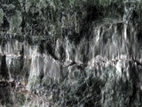 中文名:透閃石片岩(NMNS002344-P005561)英文名:Tremolite schist(NMNS002344-P005561)